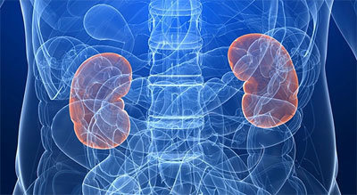 신장에 안좋은 음식 10