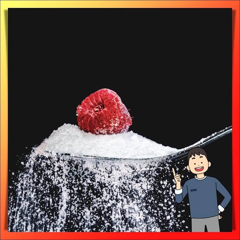 콜레스테롤 높이는 음식