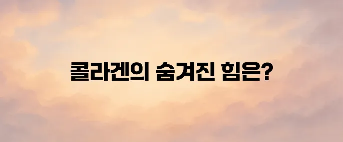 콜라겐 효능 총정리│피부·관절·노화방지에 좋은 이유