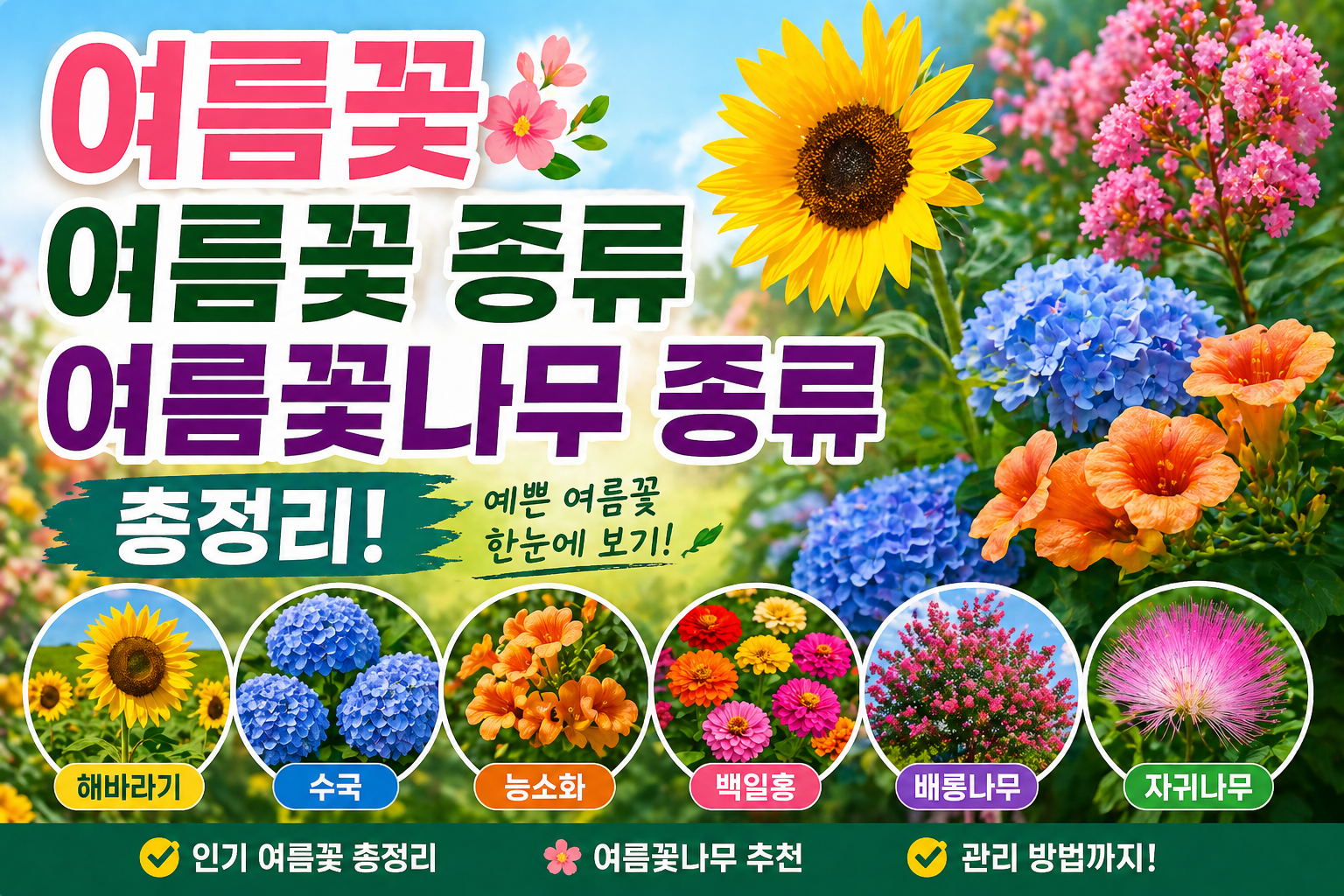여름꽃 여름꽃나무