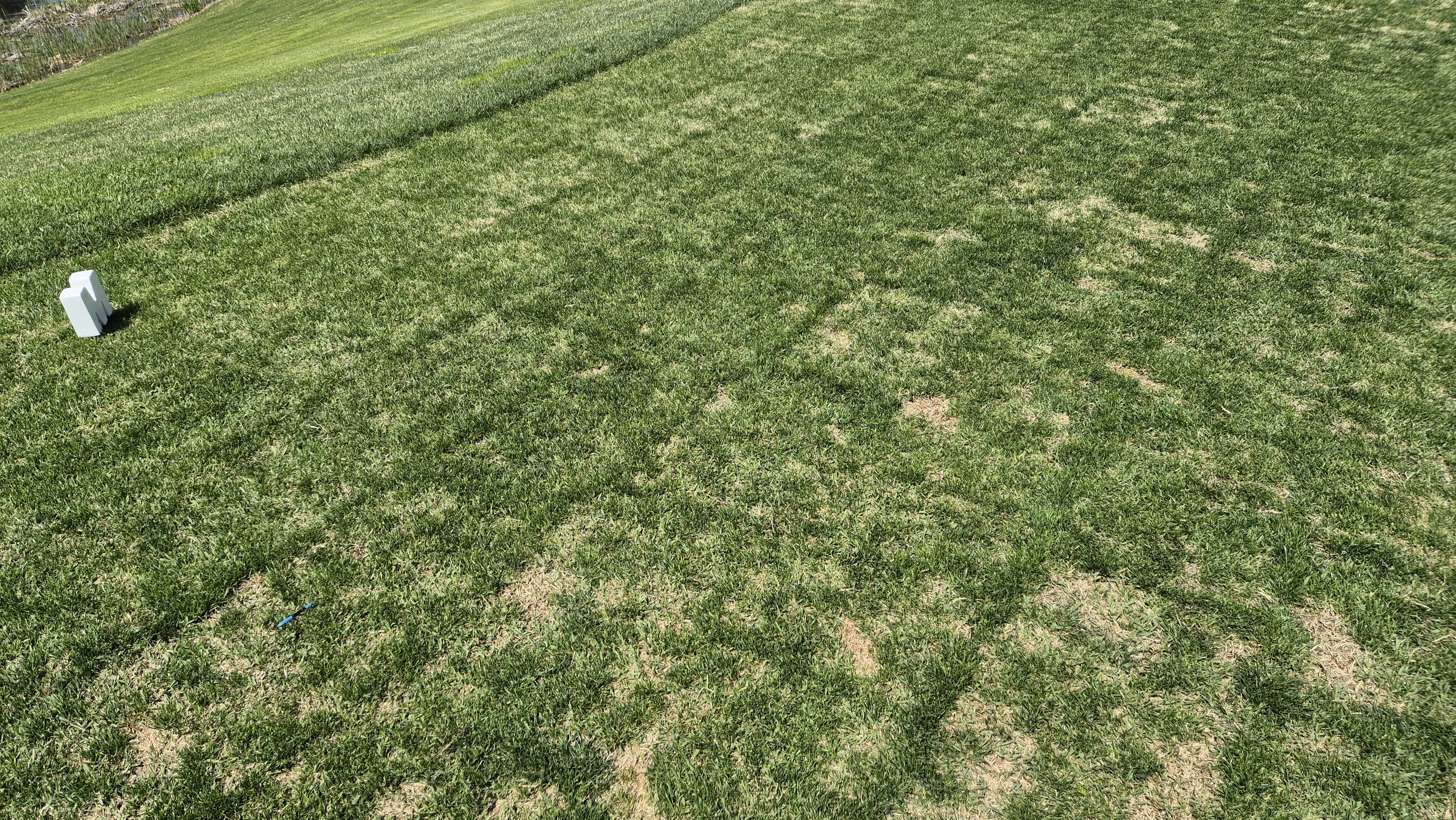 마에스트로cc 라운드 후기