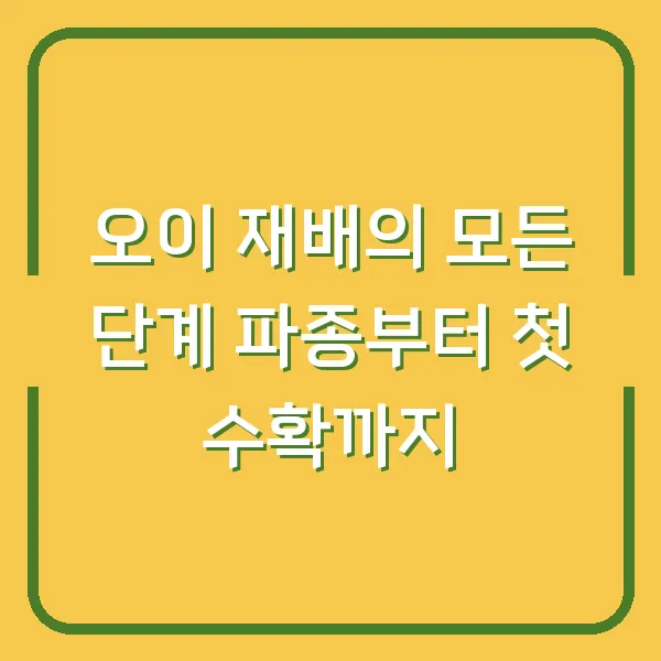 오이 재배의 모든 단계 파종부터 첫 수확까지