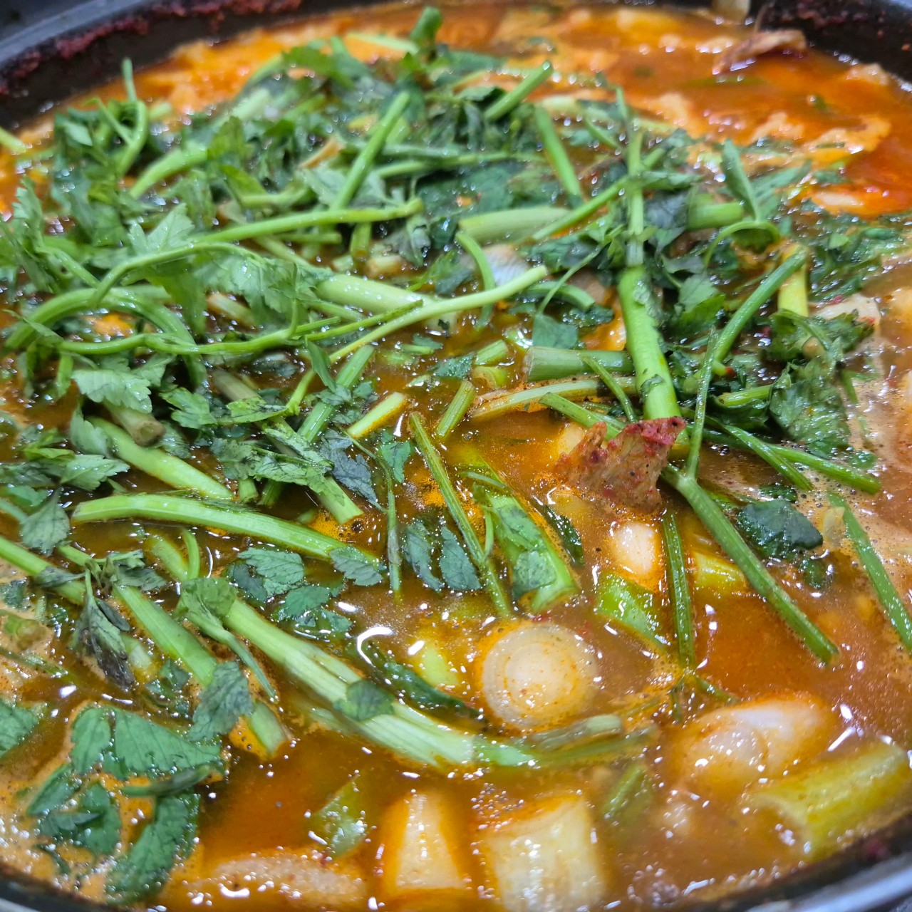 생방송투데이 한우물의 법칙 세종 메기매운탕 맛집 황우제매운탕