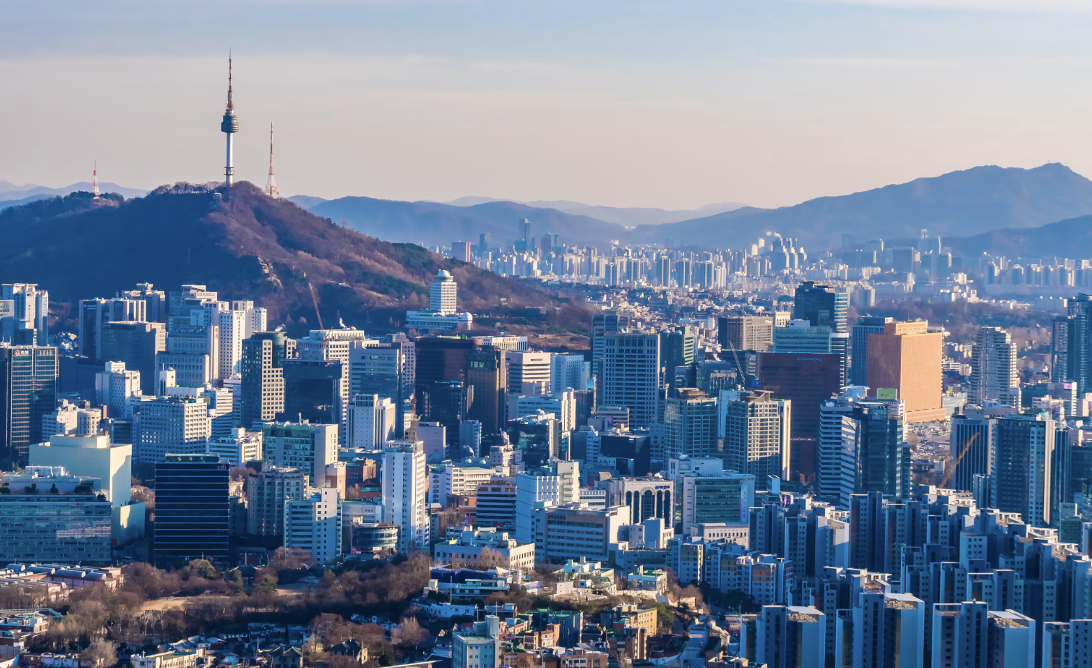 2025 부동산 하락