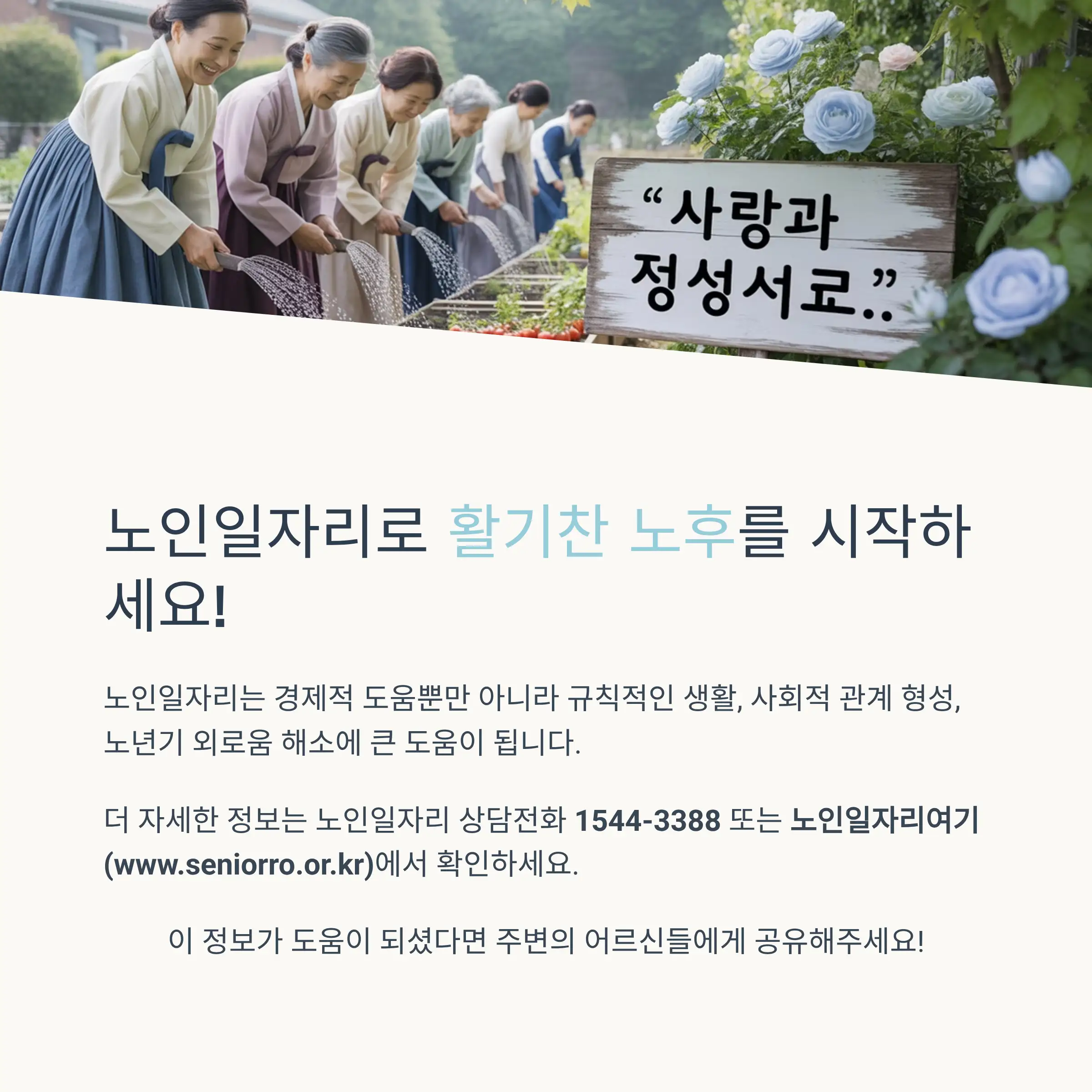 노인일자리 사업 유형별 특징과 급여 안내