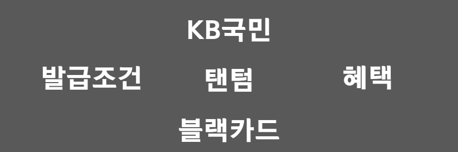 KB국민 탠텀(TANTUM) 카드