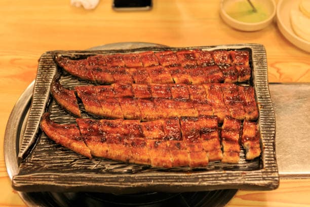 “초복에 이건 무조건 먹어야 해! 여름철 보양식 BEST 메뉴 정리🍲”