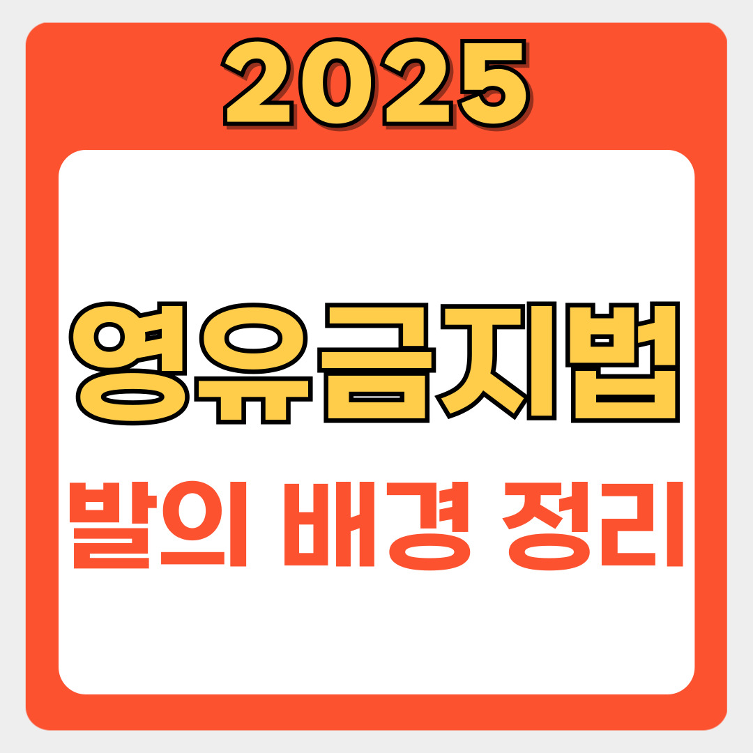 2025년 '영유 금지법', 우리 아이들에게 어떤 변화를 가져올까요