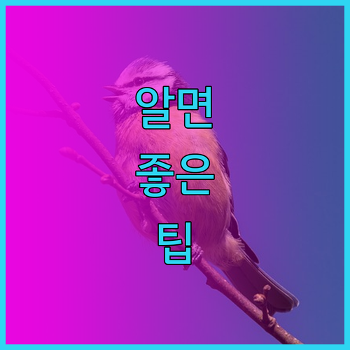 피피 아일랜드 숙소 고민 끝! 나이스