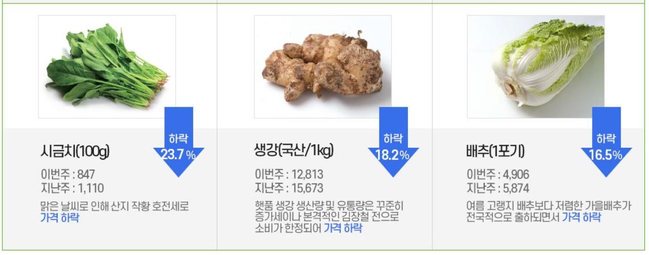 김장시기