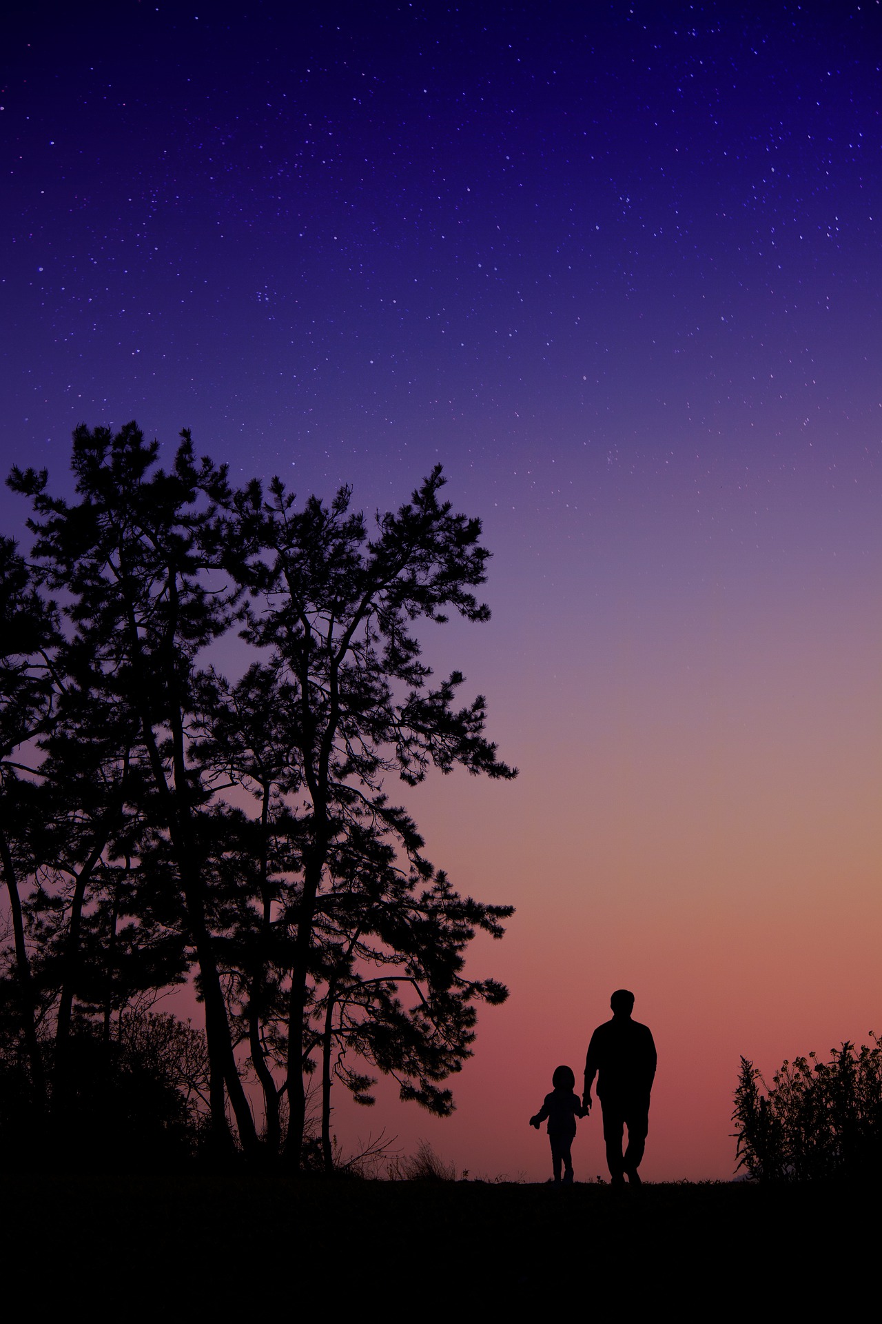 책임을 대신 지지 않을 때 달라지는 흐름, 아들둘 아빠의 육아 귀속