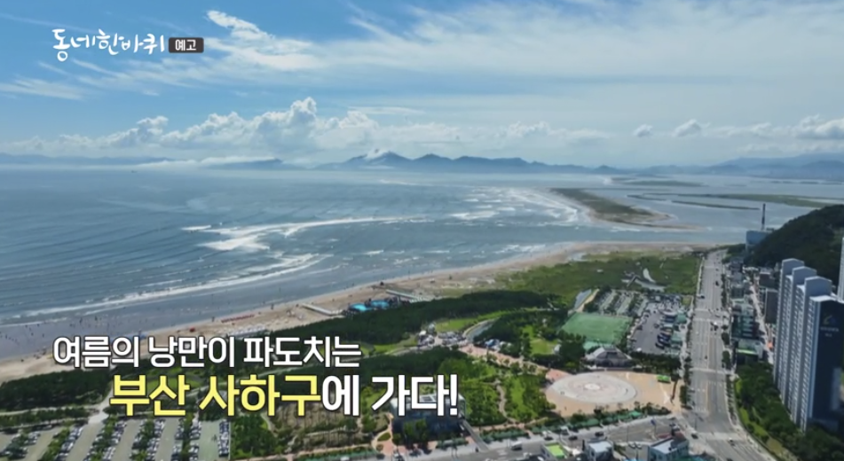 동네한바퀴-다대포-3대째노포식당
