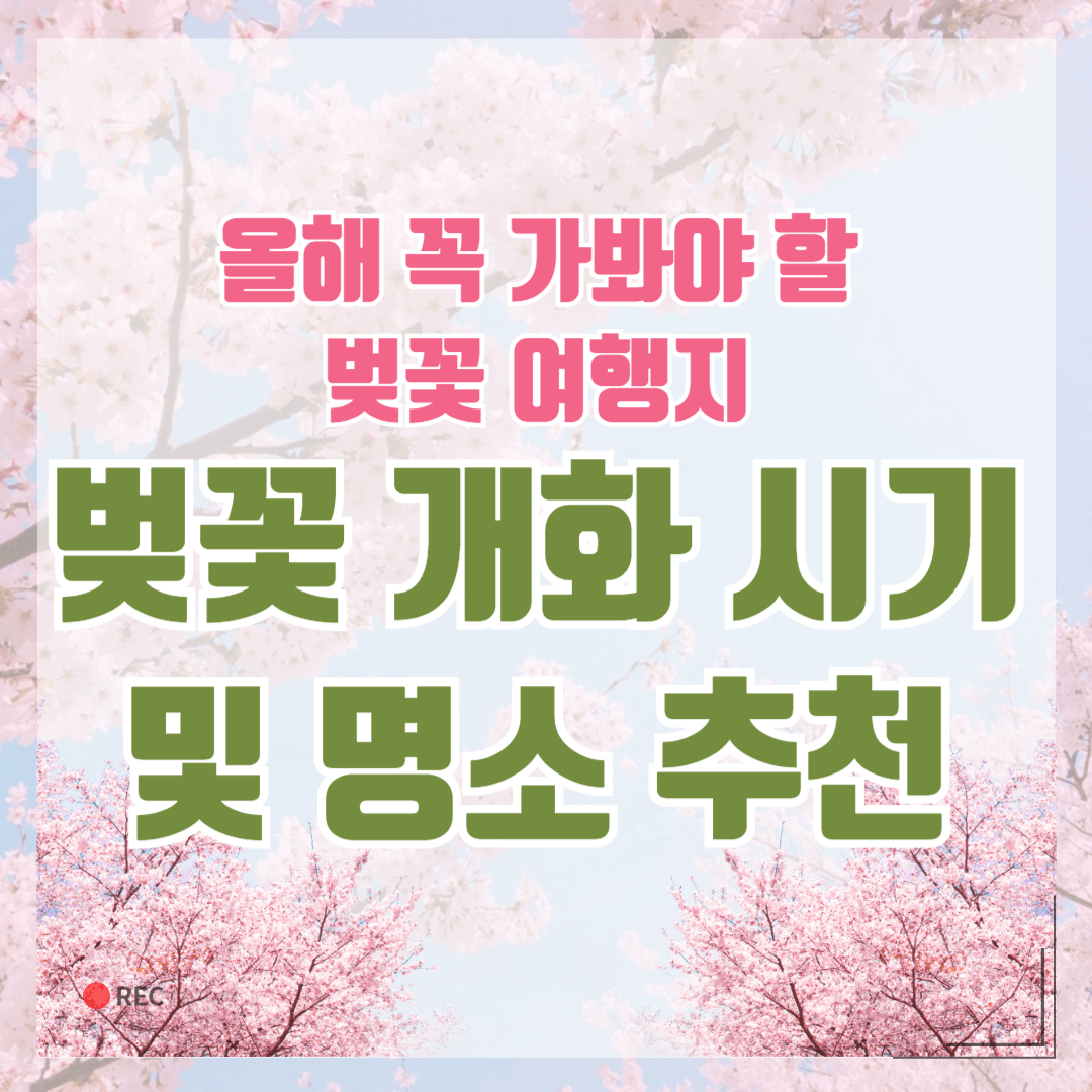 벚꽃 개화 시기