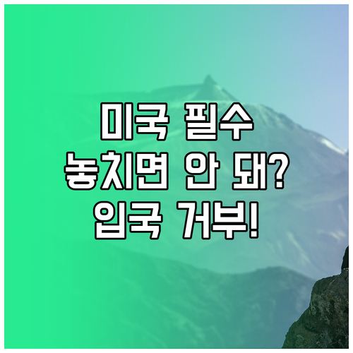 ESTA 사전 신청 필수, 놓치면 미..