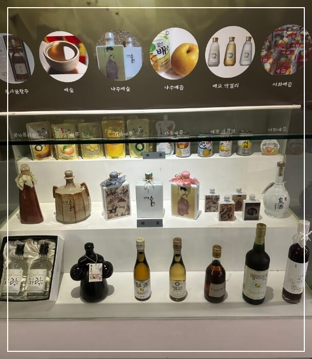 나주 가볼만한곳 베스트10 나주 배박물관