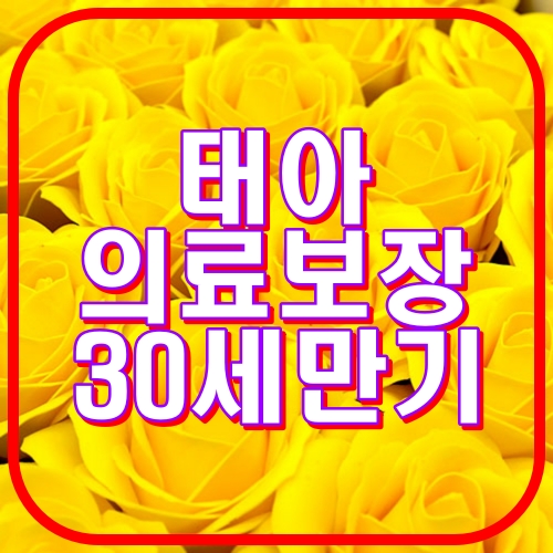 태아의료보장 30세 만기