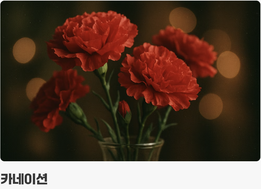 시들지 않는 아름다움, 카네이션 & 꽃볼