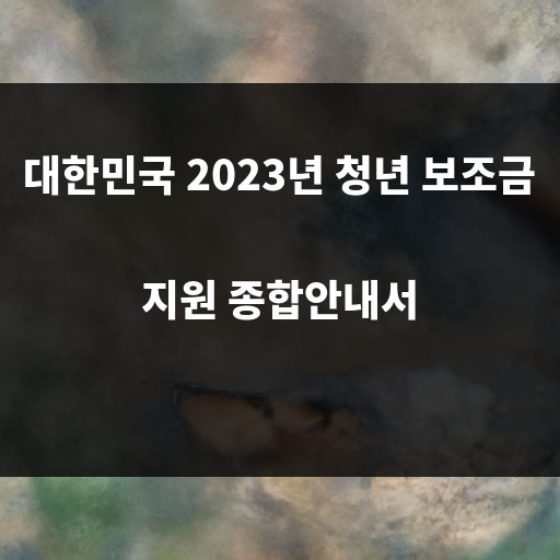 청년보조금