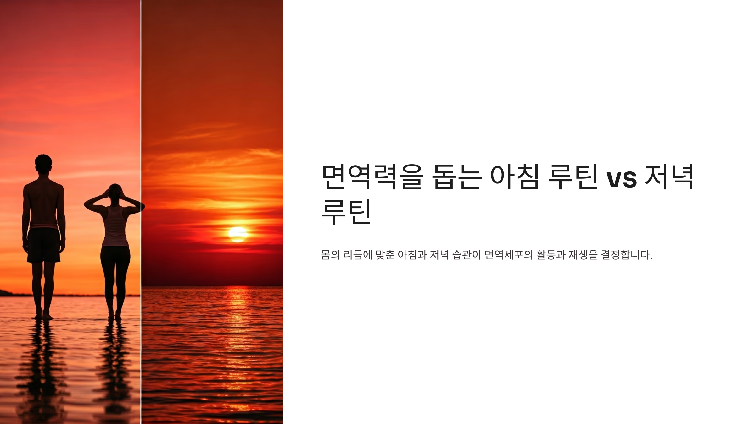 면연력을 돕는 아침 저녁 루틴