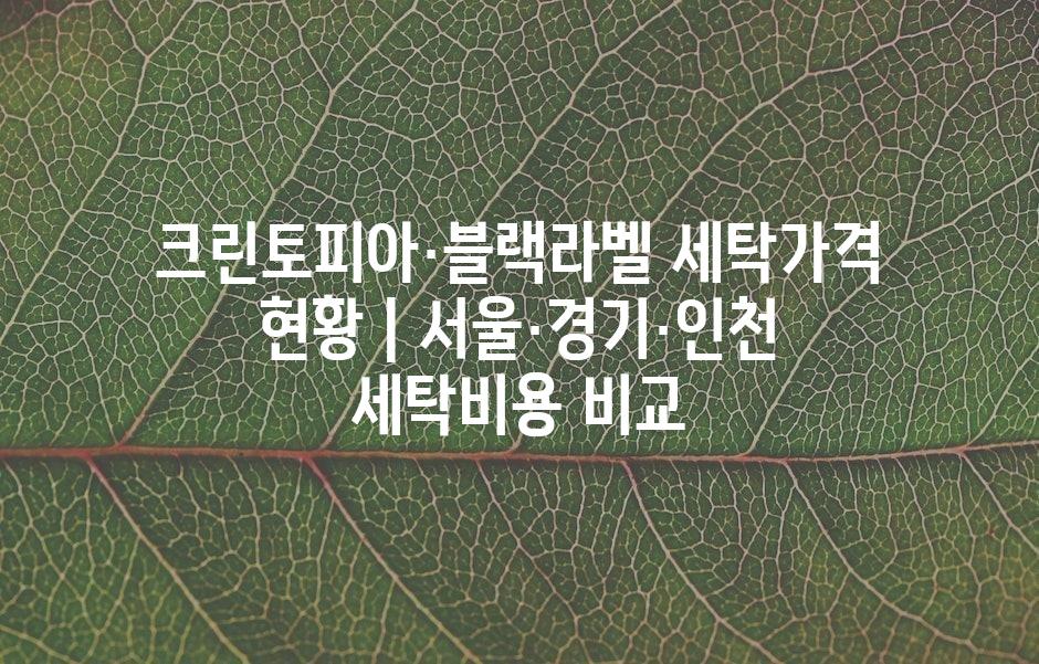 샘플 (43)