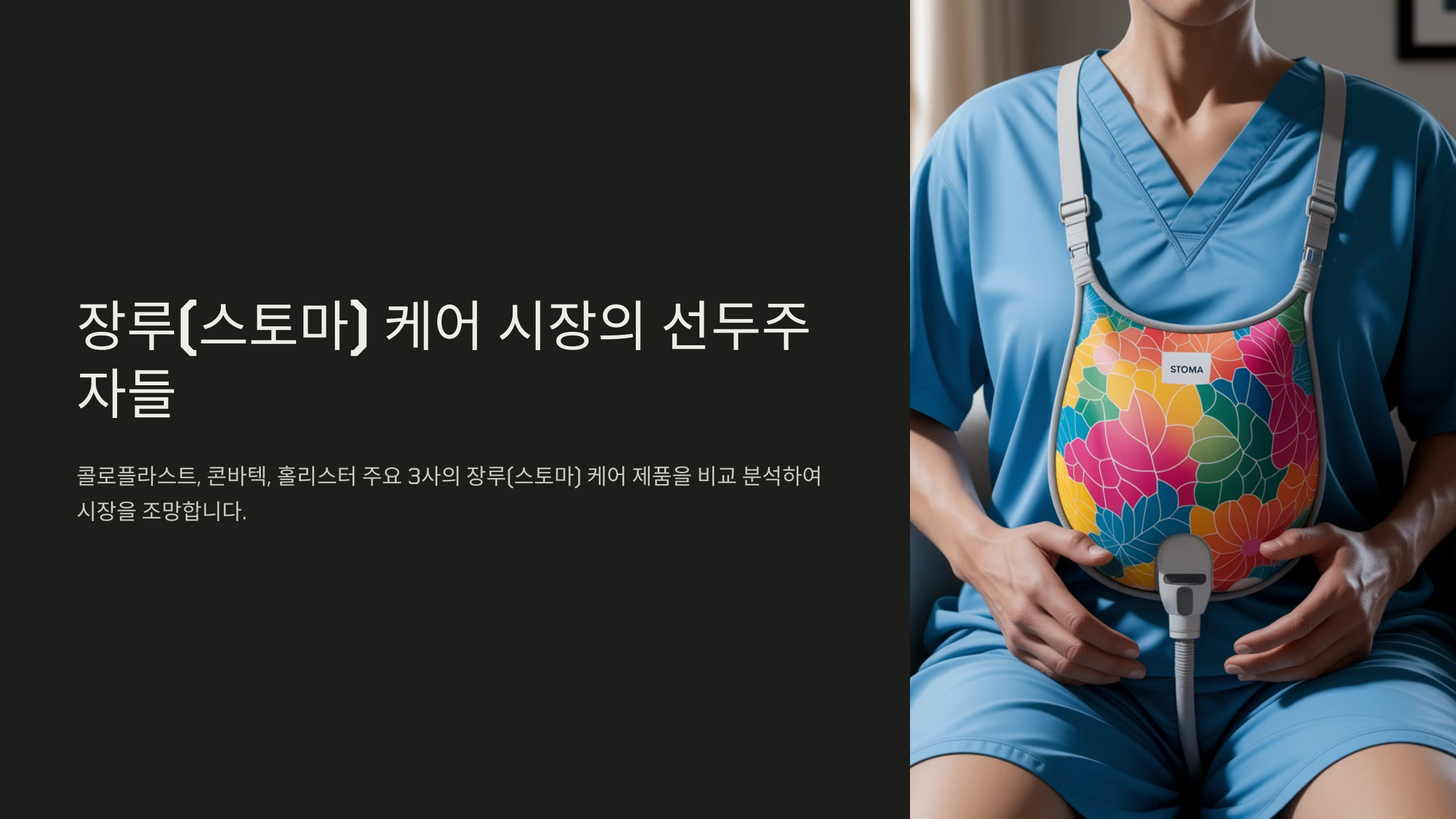 장루 비교