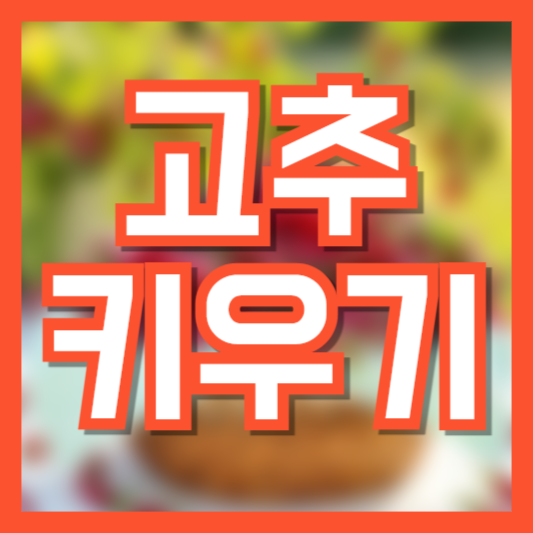 고추 키우기 물주기부터 수확하는방법까지!