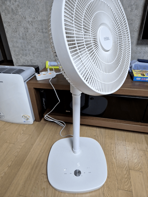 생각보다 가성비 괜찮은 레이나 BLDC 선풍기