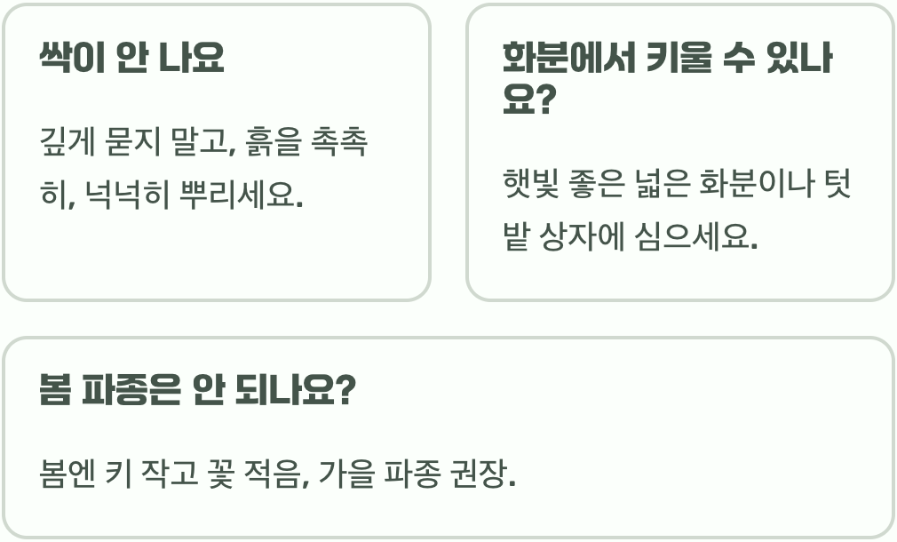 자운영꽃 키우기&amp;#44; 씨앗부터 키우는 법 A to Z (파종&amp;#44; 관리)
