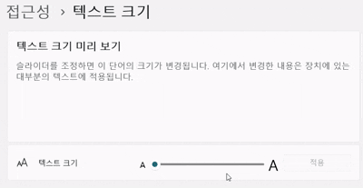 컴퓨터 / 노트북 화면 글자크기 조절 방법 - 윈도우 11 기준