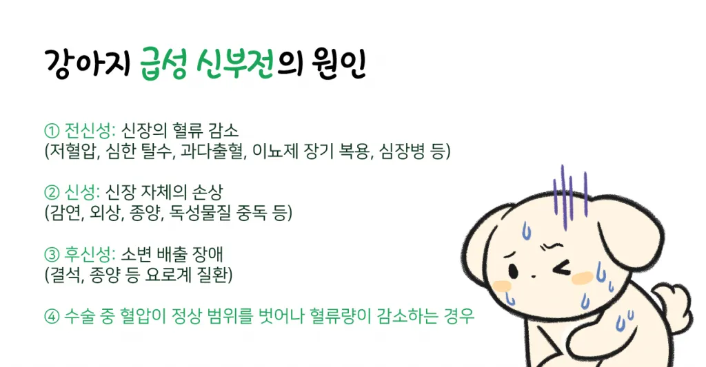 강아지 신부전에 좋은 음식 추천_3