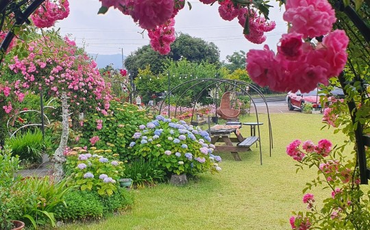 제주항공 예약 취소방법-08