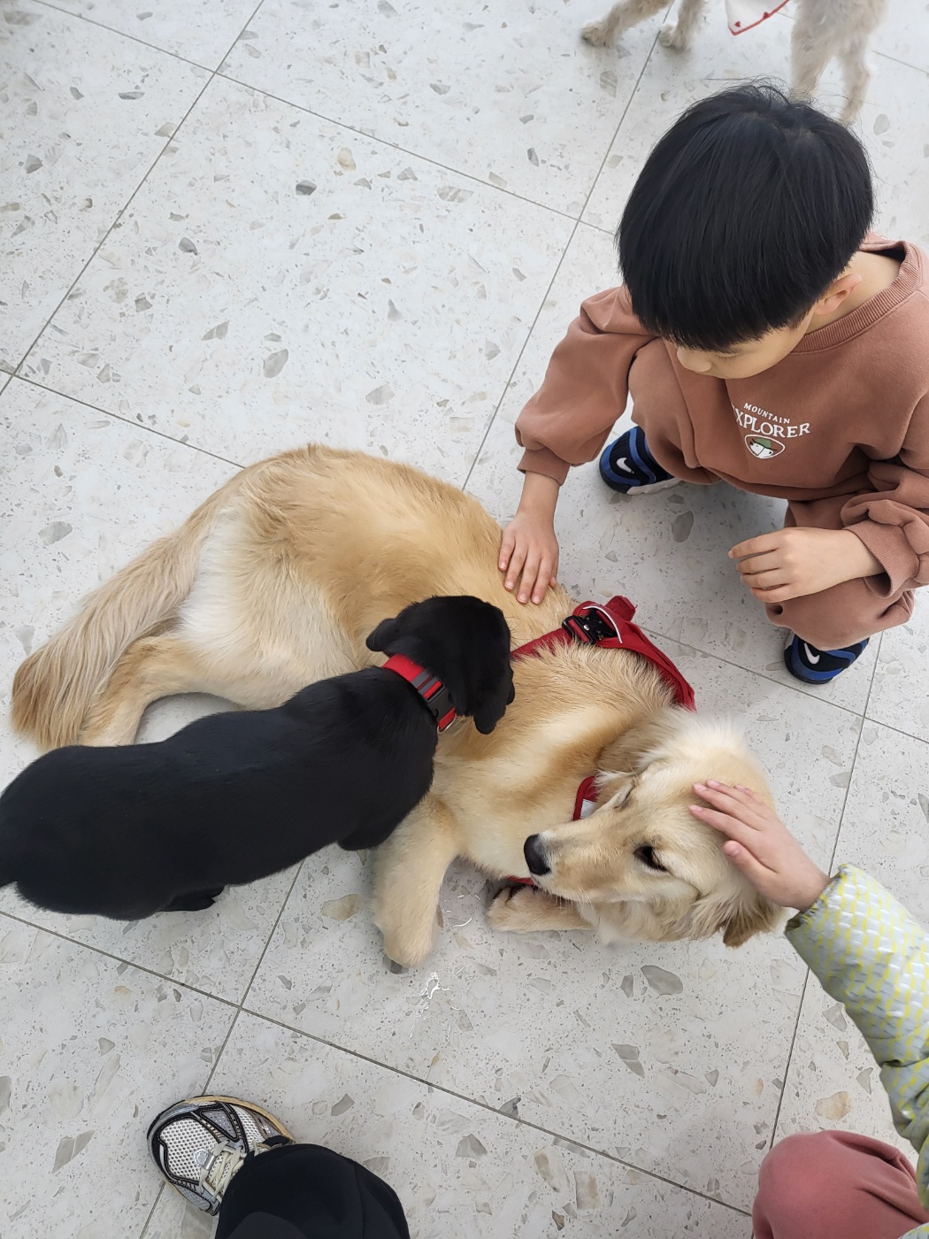 반려동물지원센터 7