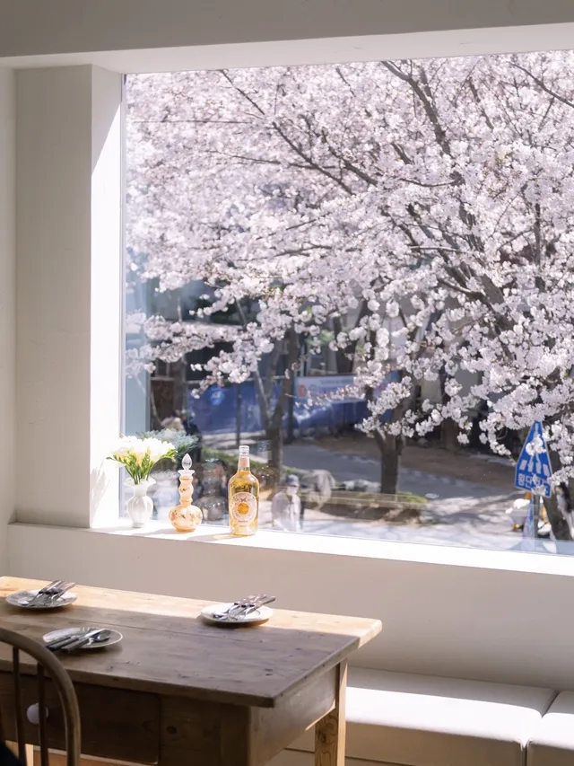 합정-망원-숨은-감성-벚꽃-카페-7-인스타-위치-예약-주차