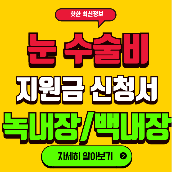 눈 수술비 지원금, 재난적 의료지원