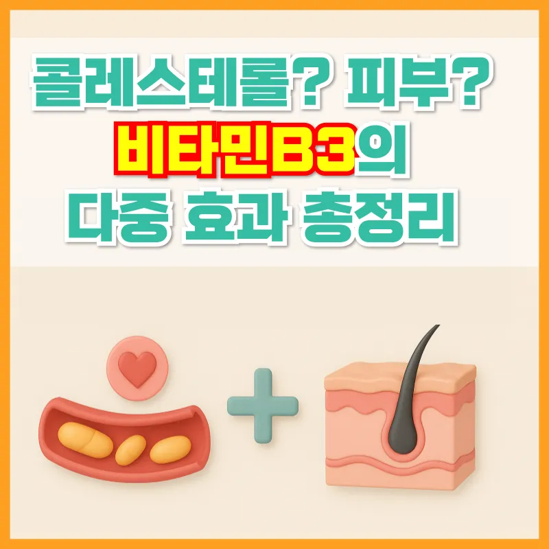 콜레스테롤_피부_비타민B3의_다중효과