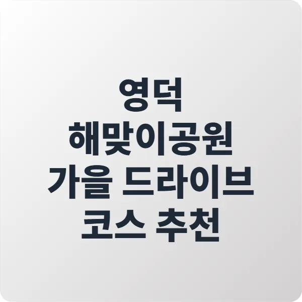 영덕 해맞이공원 가을 드라이브 코스 추천|강구항·블루로드 하루 여행