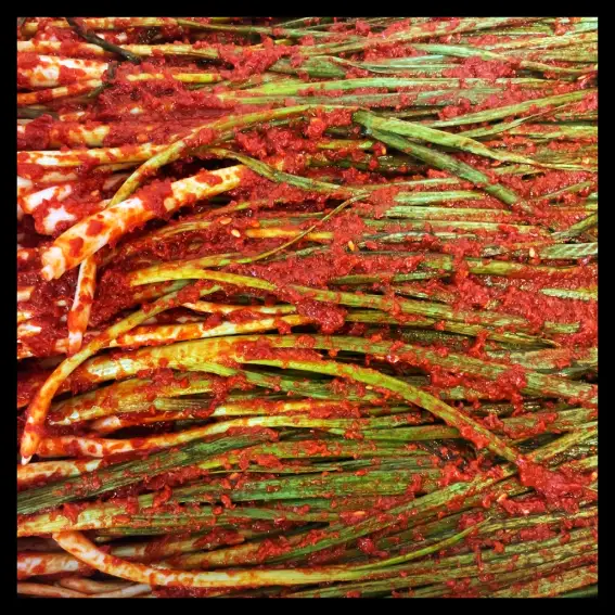 생방송투데이-나주김치