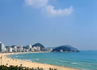 ์ก์ ํด์์์ฅ