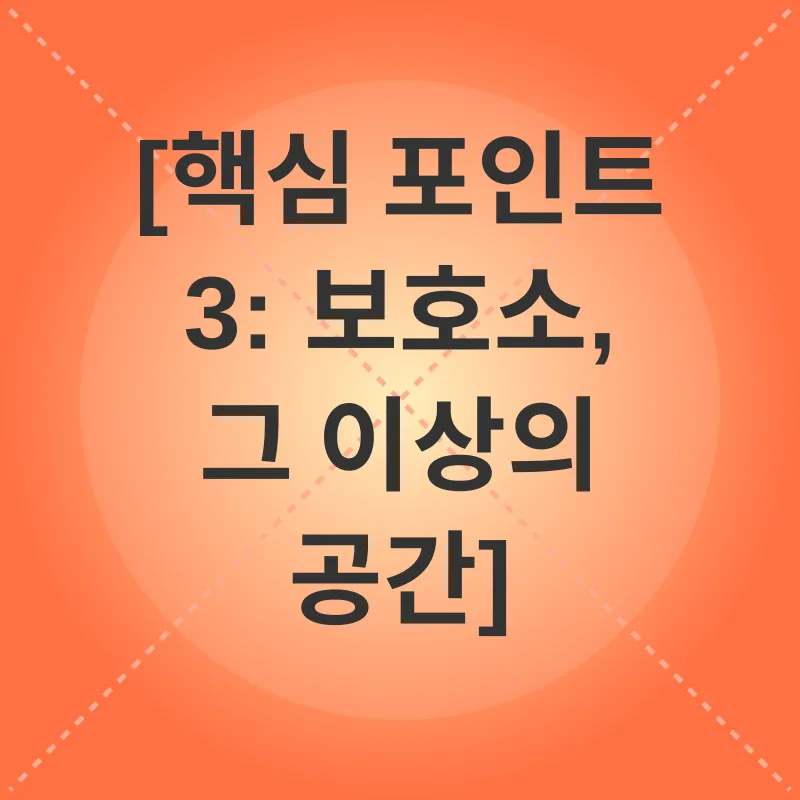 고양이 보호소 방문_3