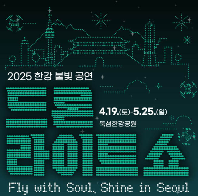 2025 한강 드론 라이트쇼