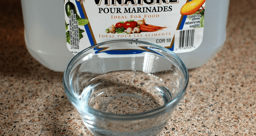 식초와 함께 놓여 있는 여러 가지 양념 사진 - 4