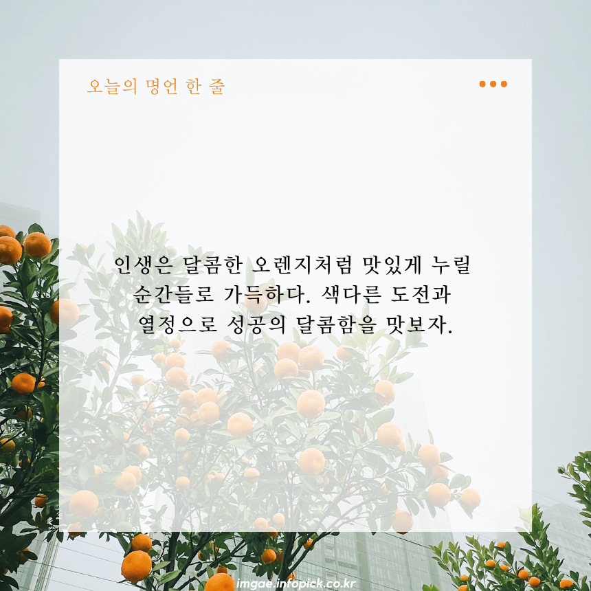 짧고 좋은 글귀 인생 명언 모음집 문구 이미지