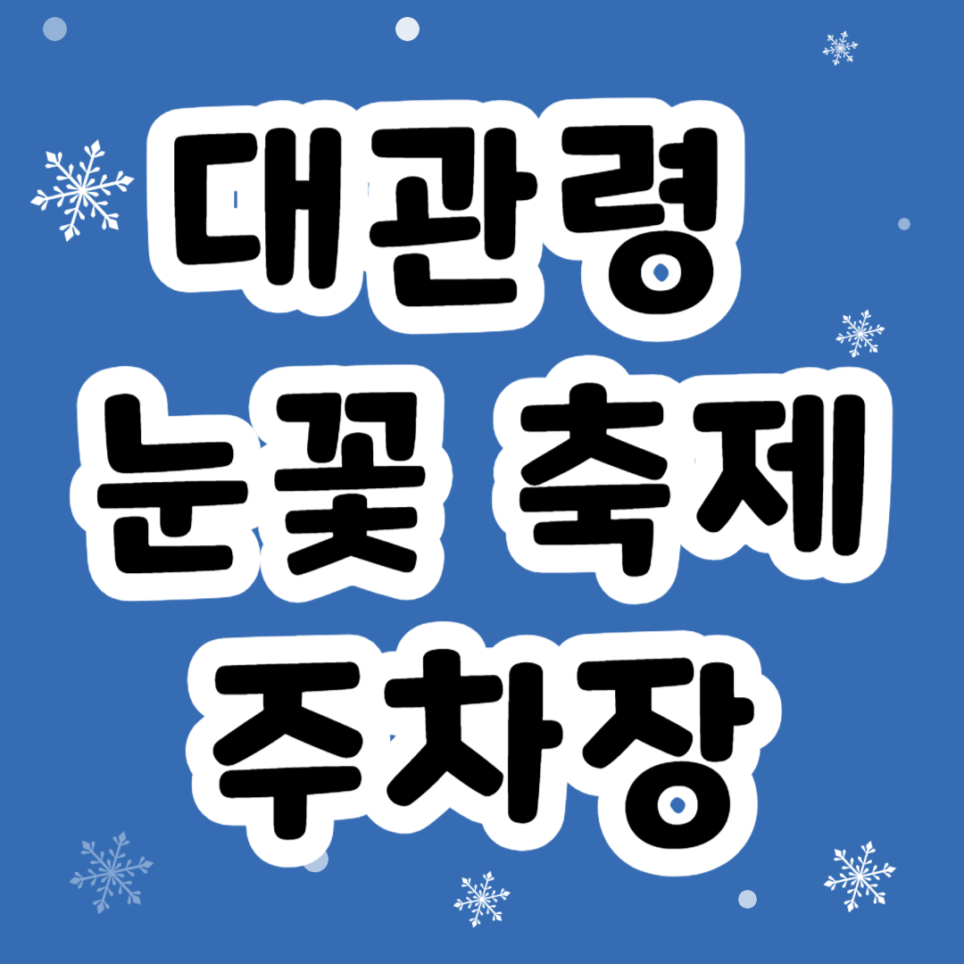 대관령 눈꽃축제 주차 주차장 셔틀버스