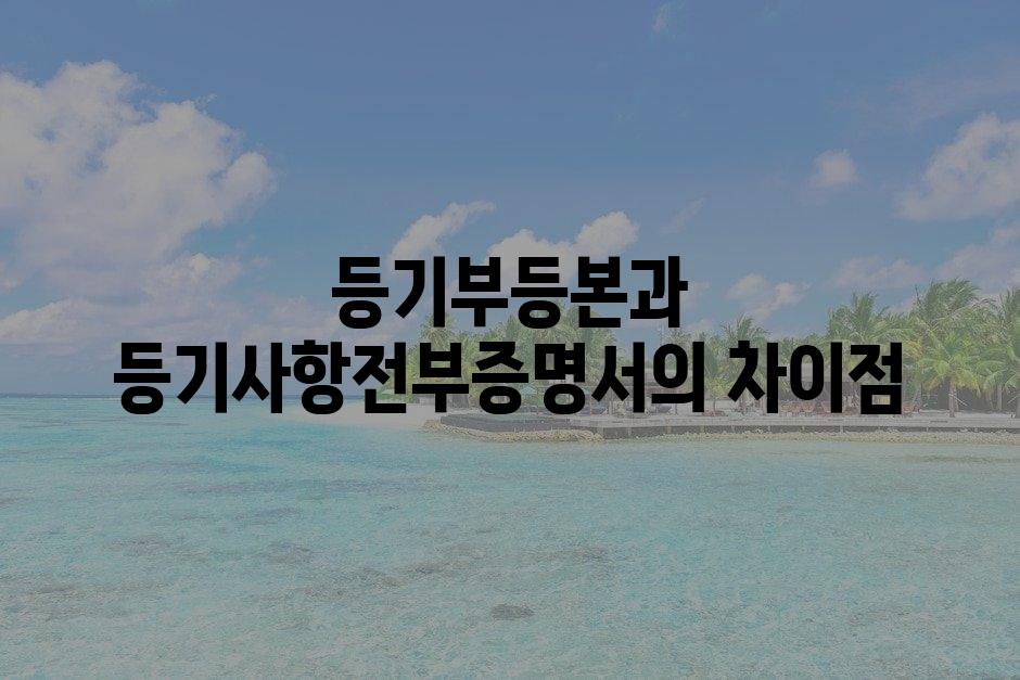 샘플 (72)