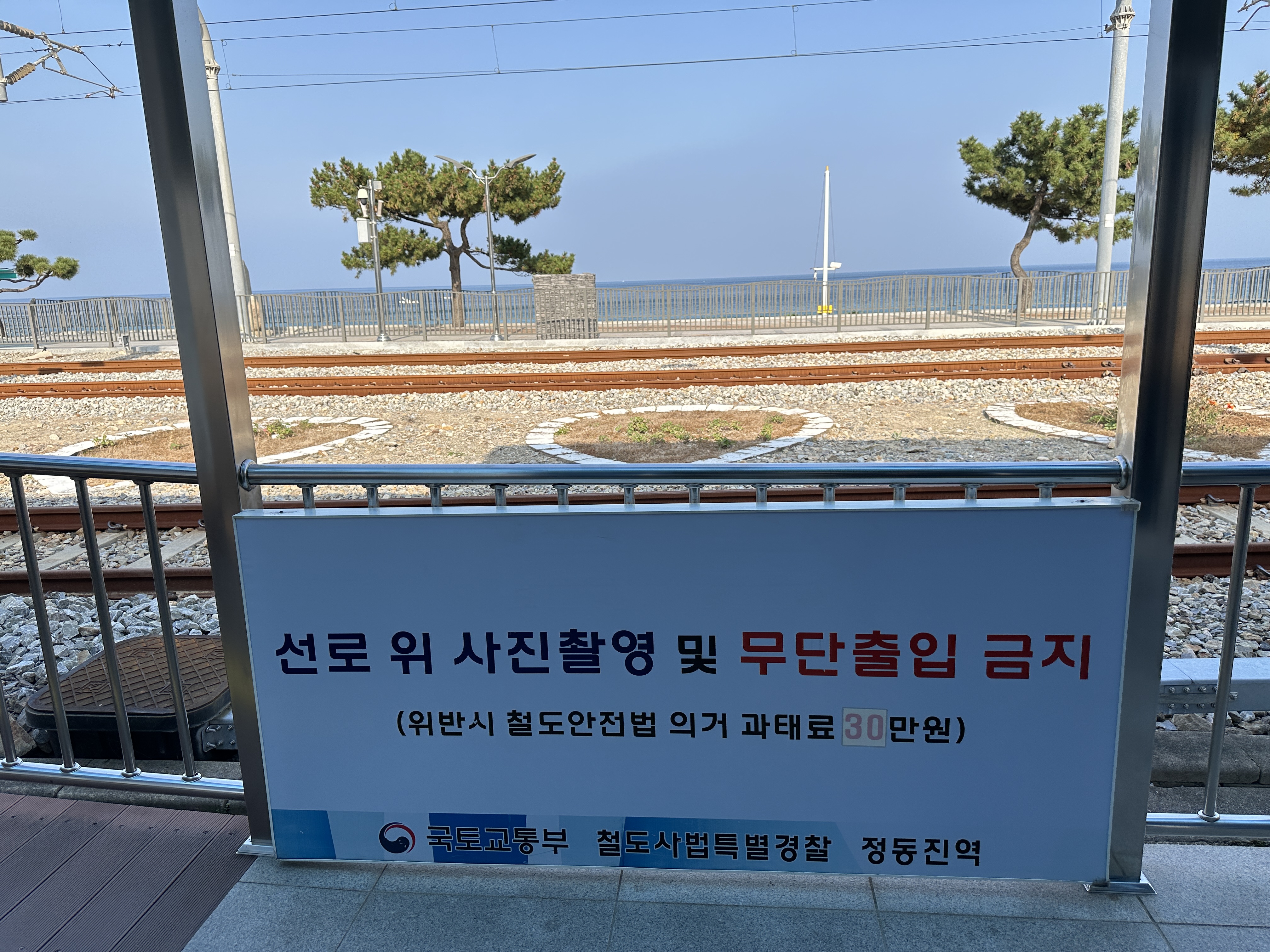 정동진역 선로위 사진촬영 및 무단출입 금지