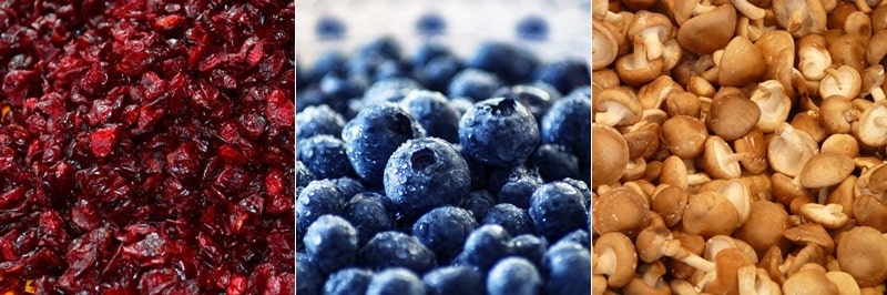 신장에 좋은 음식 블루베리, 크랜베리, 표고버섯