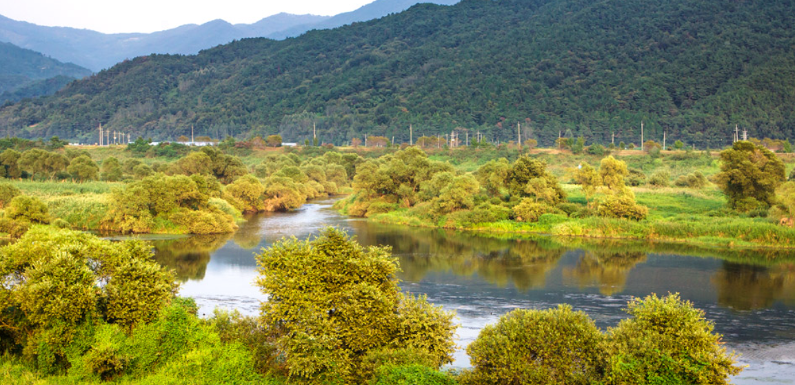 섬진강 침실습지 풍경