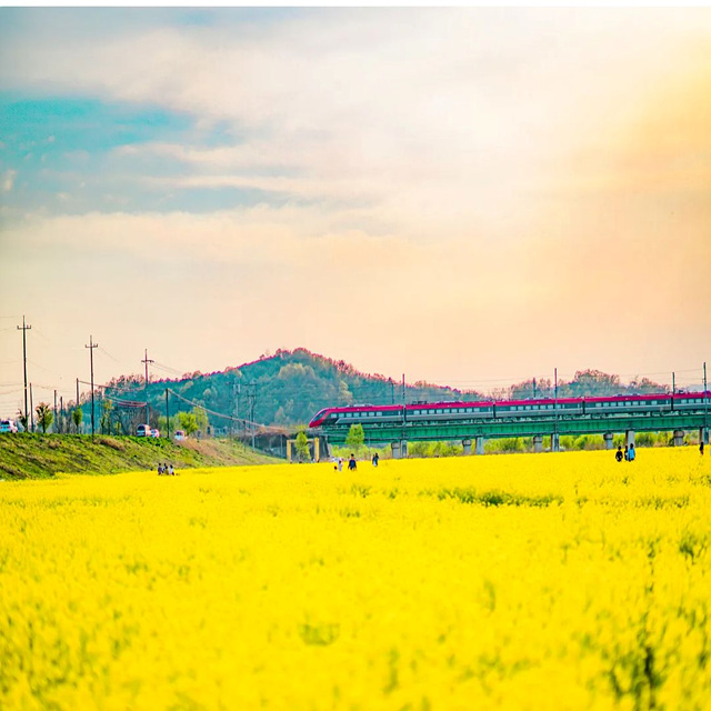 2026 설날 기차표 예매