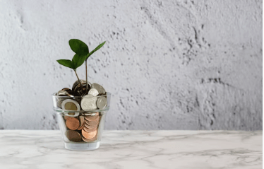 민생회복 소비쿠폰 울산 신청방법