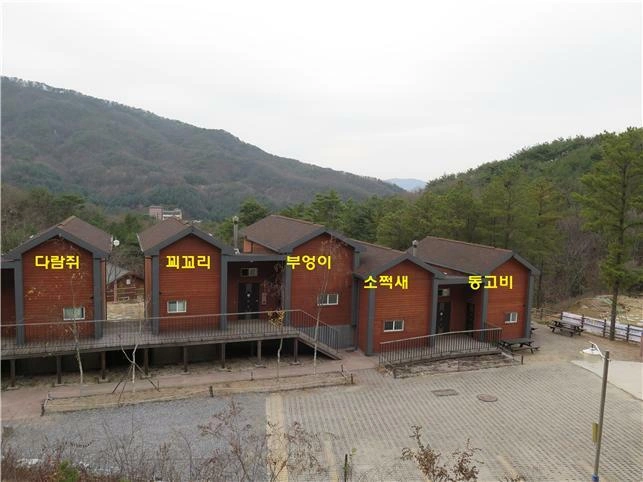 연립동